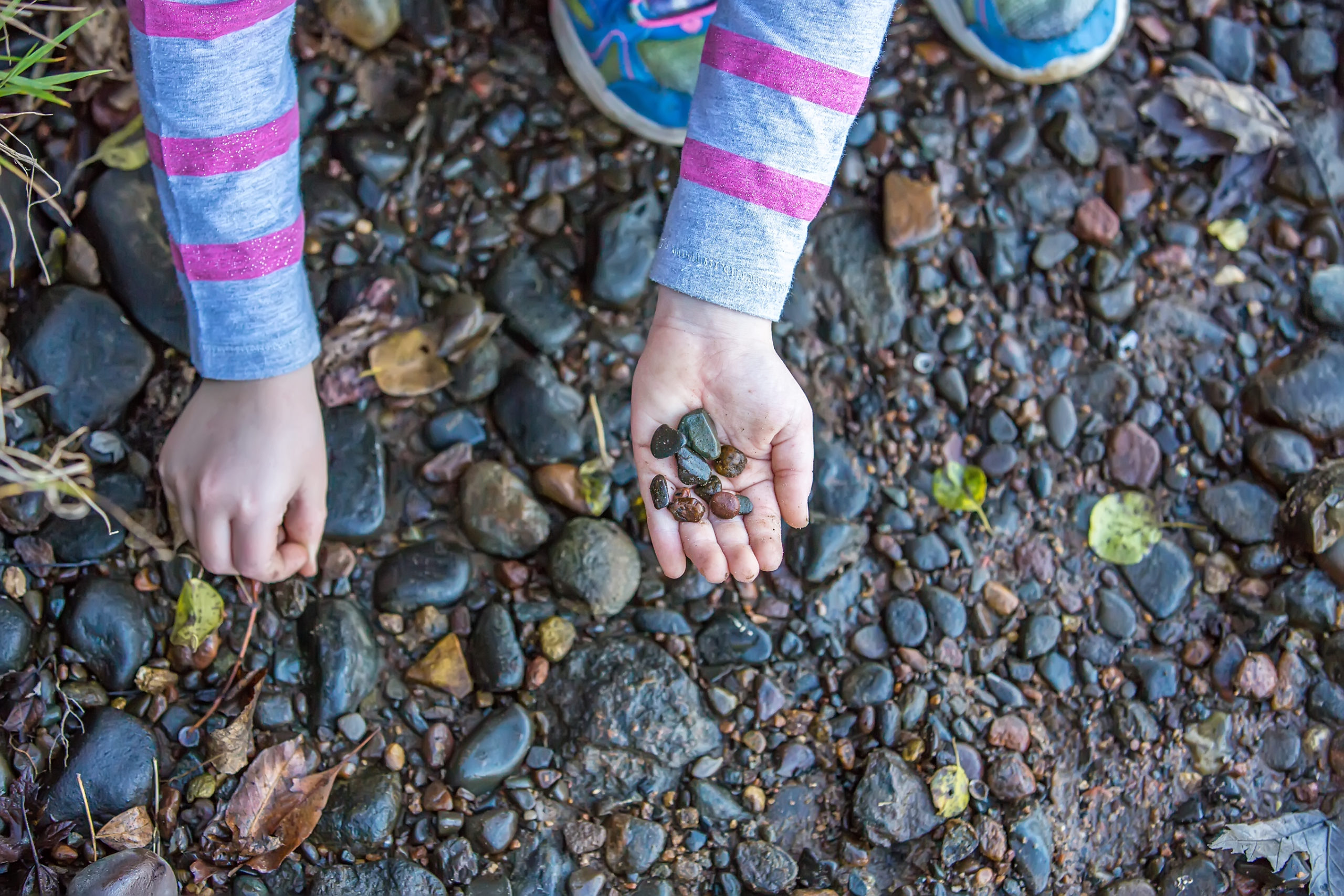 Young Girl Picking Up Stones on Riverbank Oxford Learning