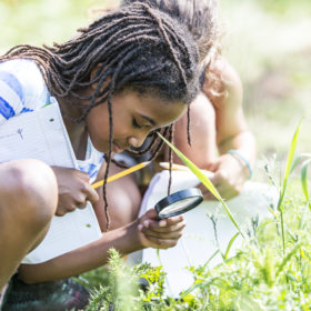 Nature and Learning: For Better Grades Next Year, Get Outside this Summer!